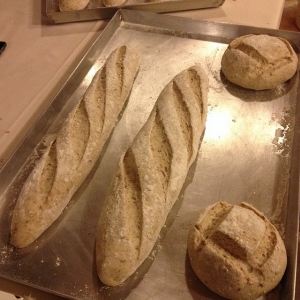 Varie tipologie di pane