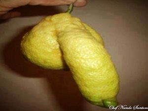 Cose veramente strane