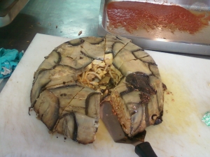 timballo di melanzane con bucatini